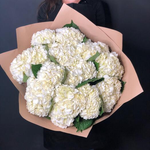 Bouquet of white hydrangeas