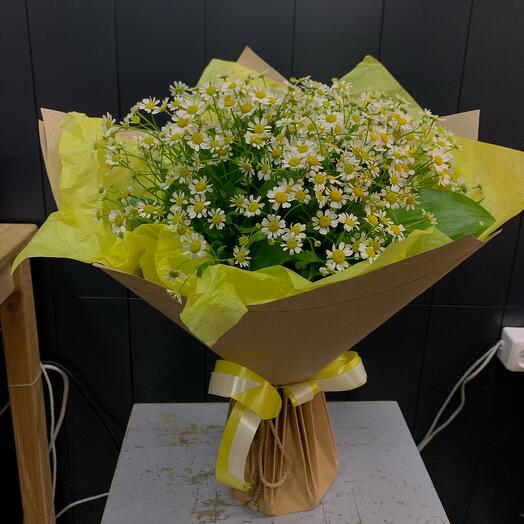 Tanacetum in kraft