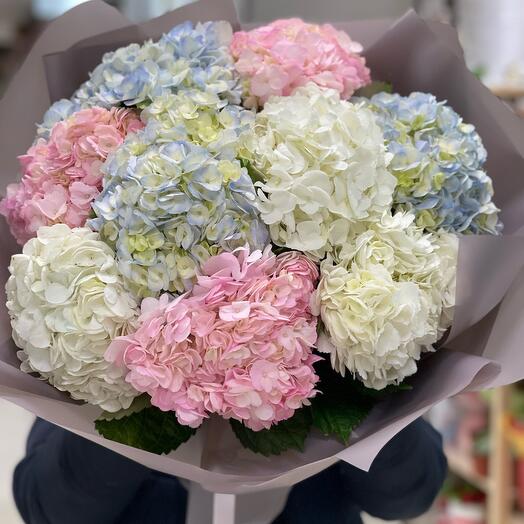 Букет из гортензий микс 🌸