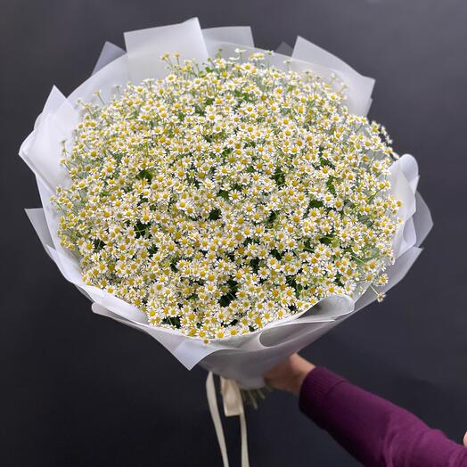 Bouquet of daisies