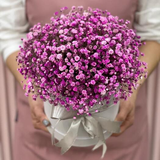 Pink gypsophila in a hatbox