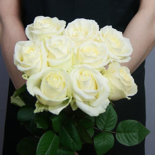 Rosa Avalanche