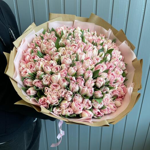Bouquet of tulips, pale pink