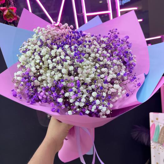 Bouquet of gypsophila