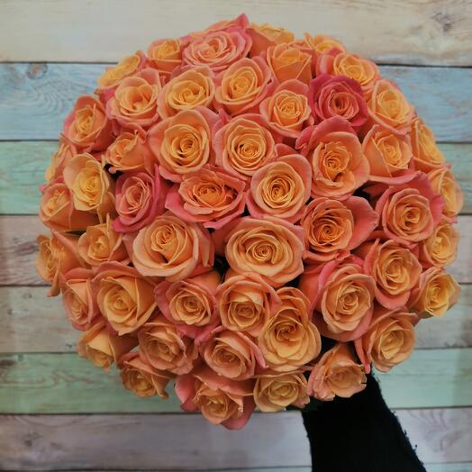 51 rose Miss piggy