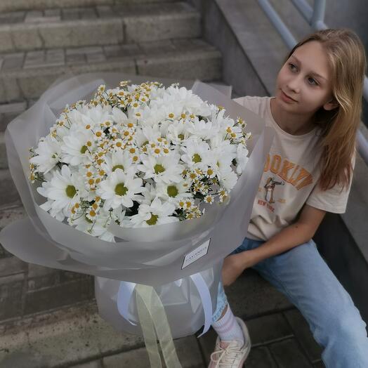 Микс ромашек (L)