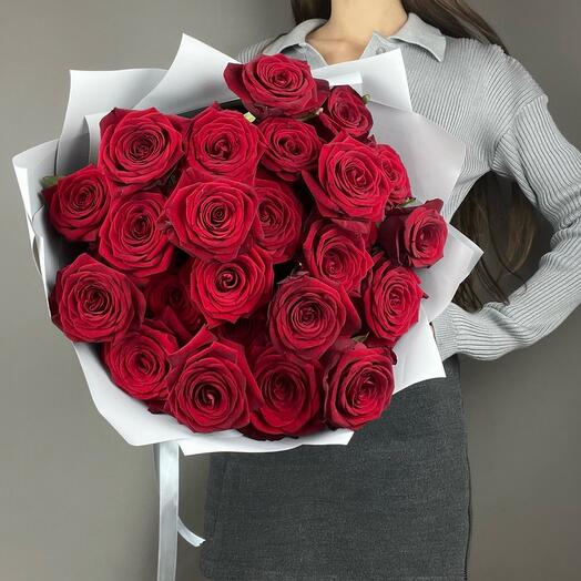 Rosas rojas 25 piezas