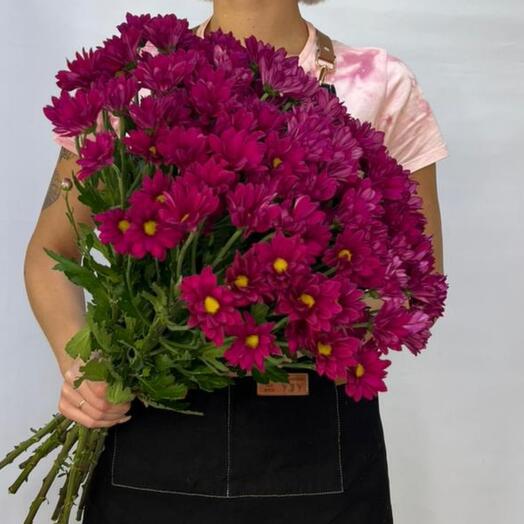 💐Хризантемы Бакарди