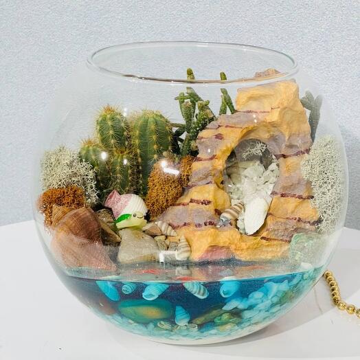 Круглый флорариум с кактусами руинами и морскими ракушками