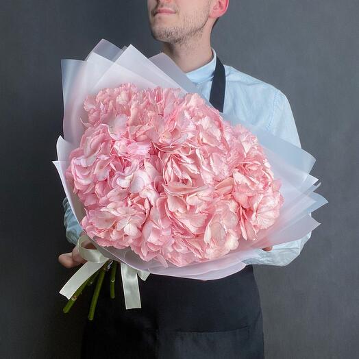 Monobloque de 5 hortensias Rosadas