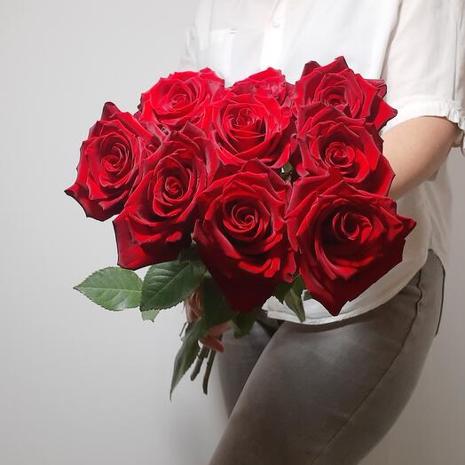 9 красных роз Эквадор (50 см.) с крупным бутоном🌹