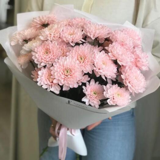 5 crisantemos rosados persistentes