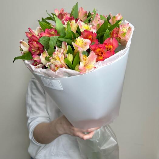 Mono Bouquet of persistent alstroemeria