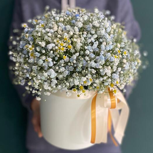 Композиция с голубой гипсофилой и ромашками🌼