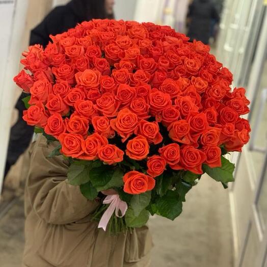 101 Вау под ленту