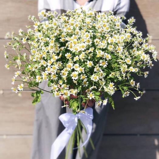 Bouquet of 15 bush daisies (Matricaria)
