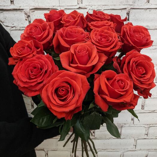 Mono of 15 tall scarlet roses