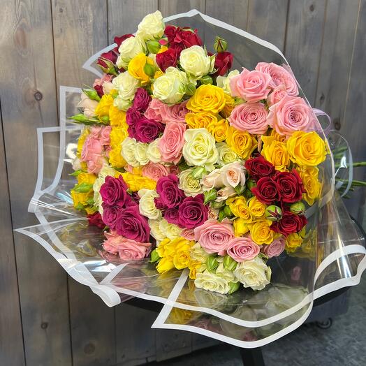 51 mezcla de arbustos de rosas