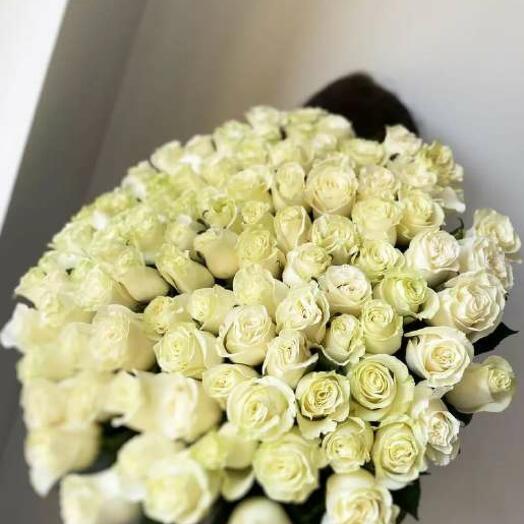 101 белая роза 🌹