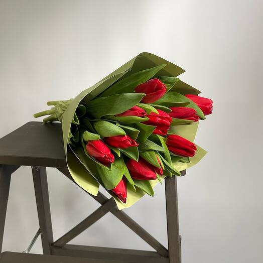 Monobook de tulipanes rojos