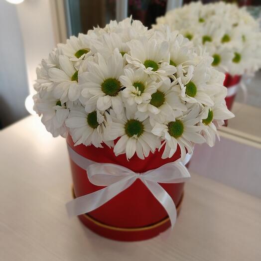 Ромашки в коробке