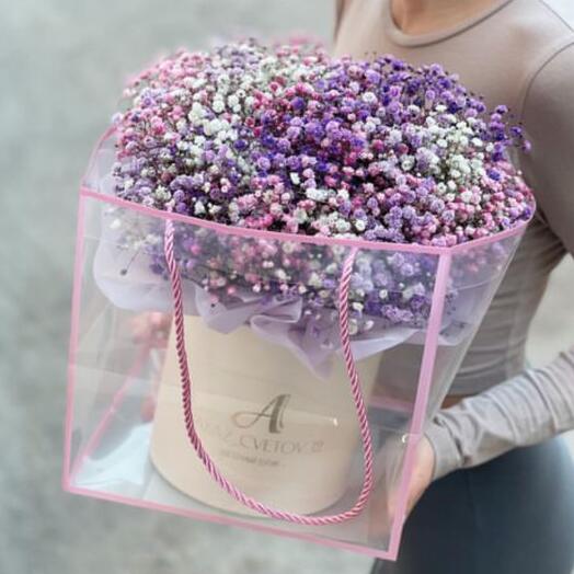 Gypsophila in a box with a carrier