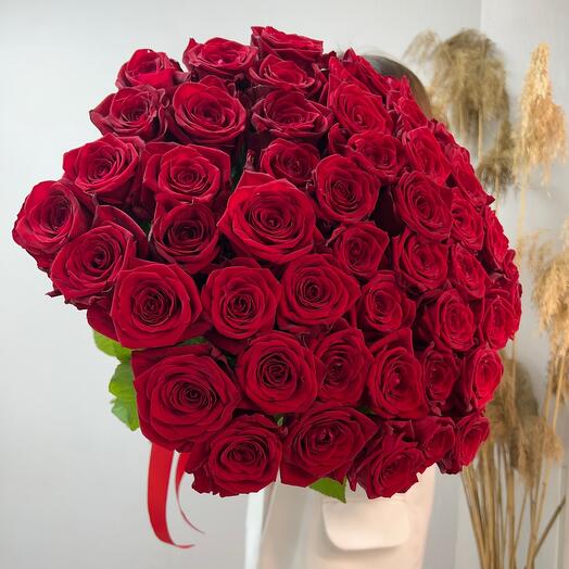 51 красная роза премиум 🌹