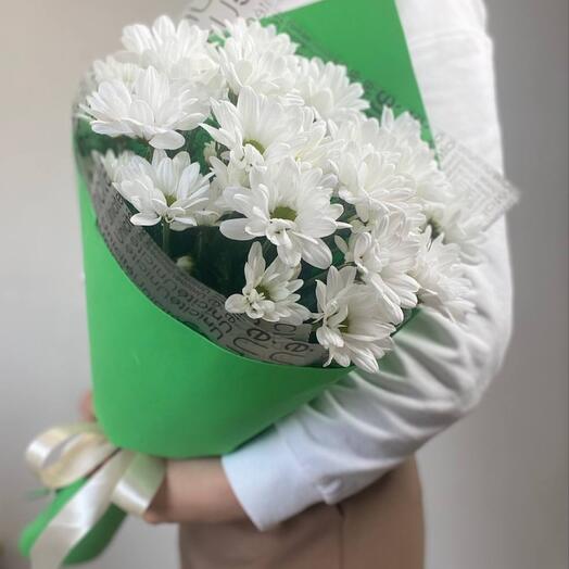 Баккарди