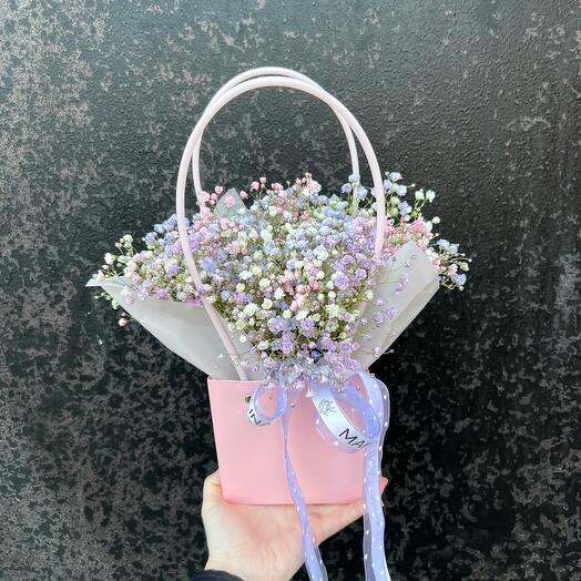 Gypsophila in the bag palatal composition