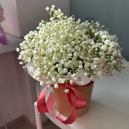 Гипсофила 🥰
