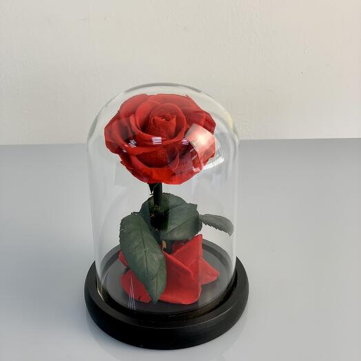 Small Red Infinity Rose in a Box
