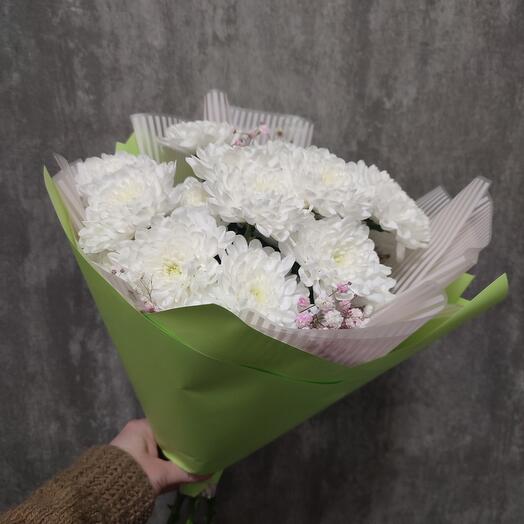 Хризантемы