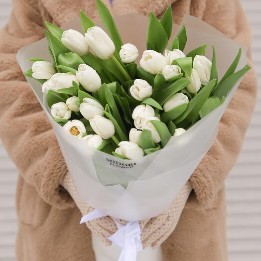 Тюльпаны белые 25