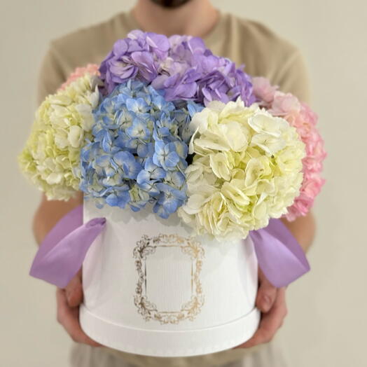 Hydrangeas | White Box