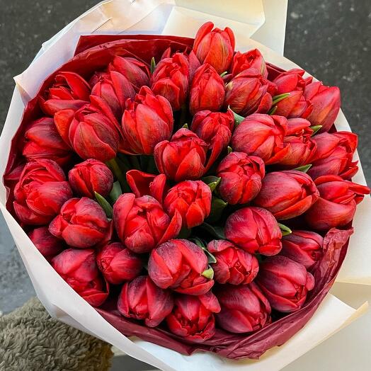 Tulipes red 45 stems