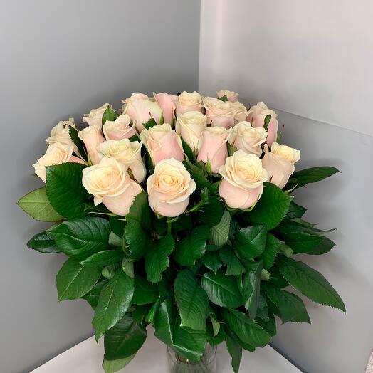 Розовые розы 23