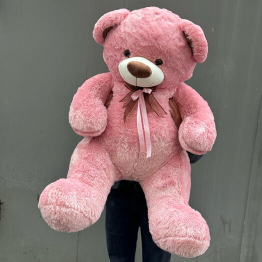 Teddy bear  мишка