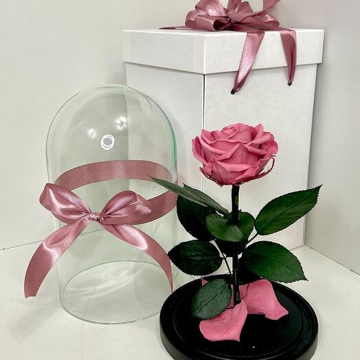 Роза в колбе Mini 21x12 в подарочной коробке