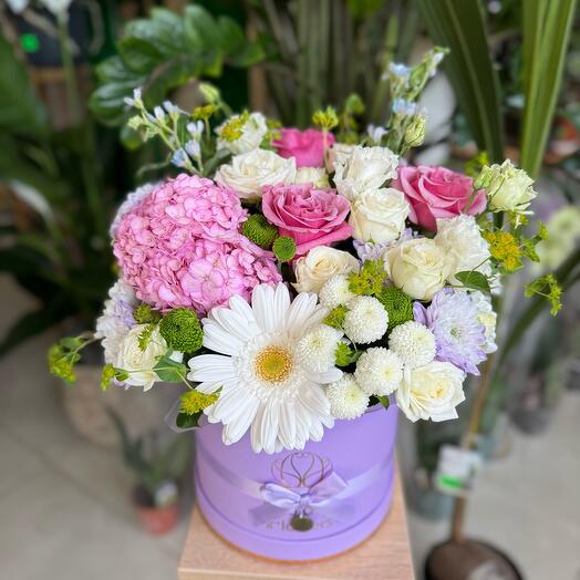 🌸My tenderness🥰