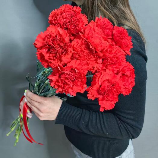 Букет из 10 красных гвоздик (арт.2163)