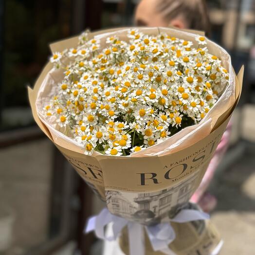 Mono bouquet "Matricaria"