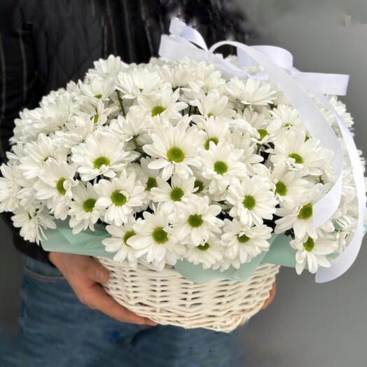 The Chamomile basket