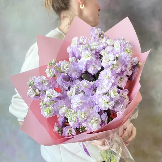 Fragrant mattiola