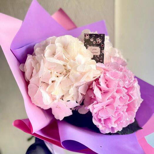 Hortensias wow