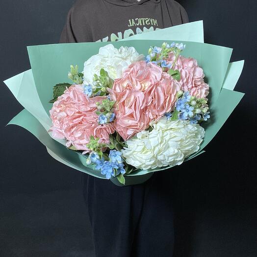 Гортензии