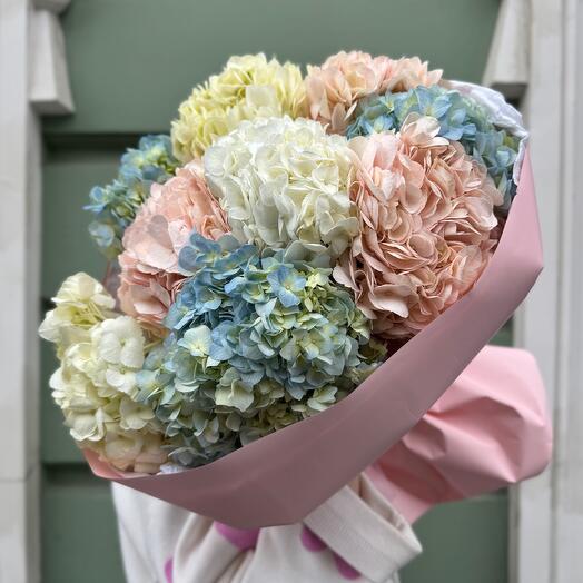 Гортензия большой букет 9 шт (моно 022)