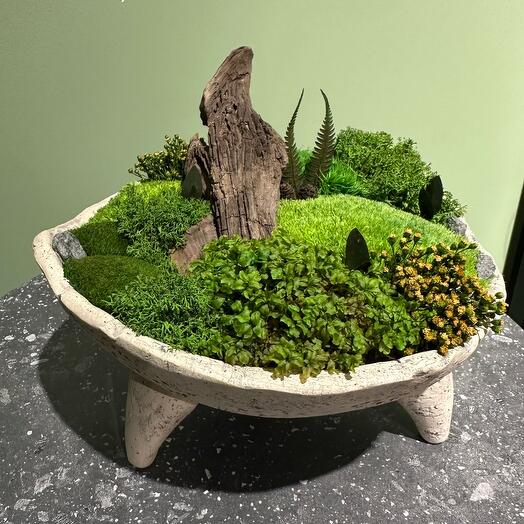 Композиция из стабилизированного мха