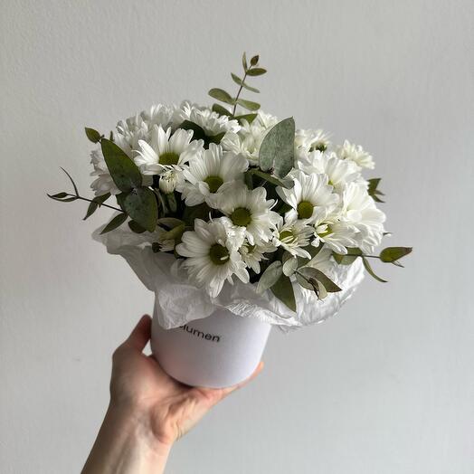 Composition with chamomile