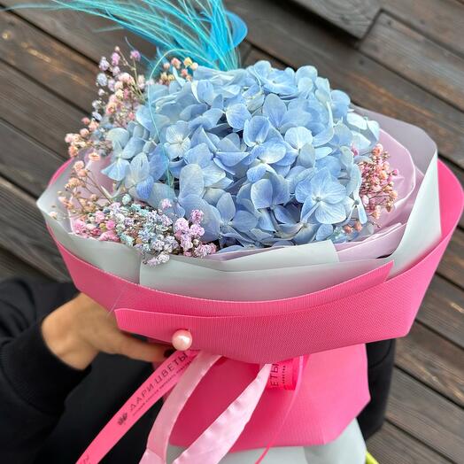 The Hydrangea Cloud