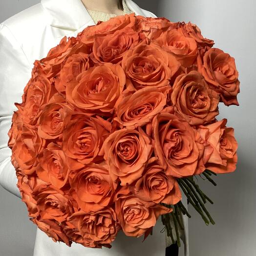 Coral roses